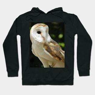 European Barn Owl Hoodie